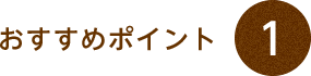 おすすめポイント1