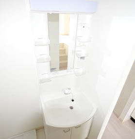 大きなシャンプードレッサー