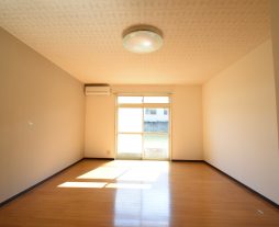 リバーサイドハイツ（湖山）/5号室