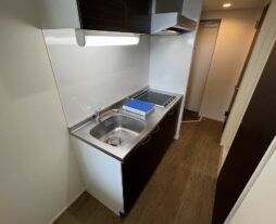 alpha the premier（ｱﾙﾌｧ･ｻﾞ･ﾌﾟﾚﾐｱ）/203号室