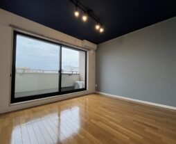 マンション光/301号室